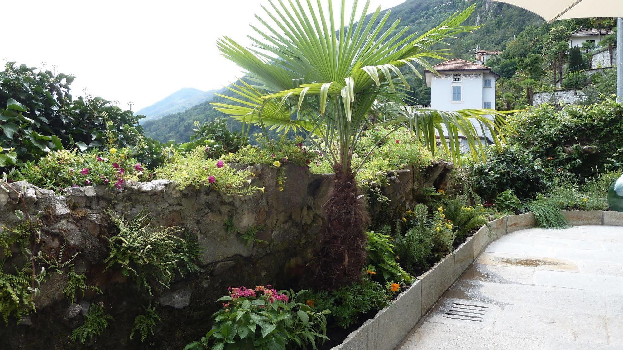 كانيرو ريفييرا B&B Casa Forster المظهر الخارجي الصورة